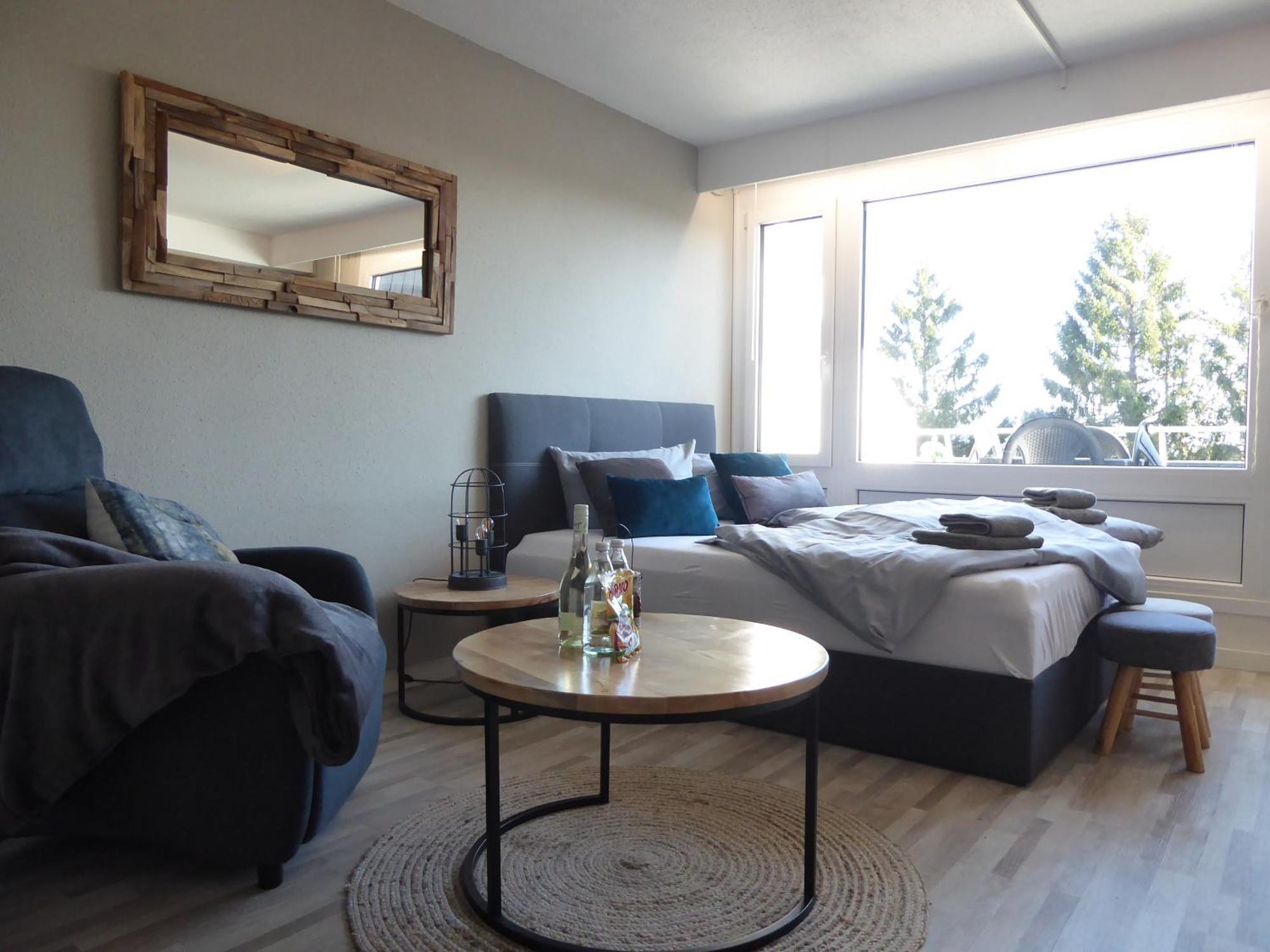 Mountain Suite Winterberg Pool Sauna Hund 4 Pers Wifi Near Bikepark Exterior photo